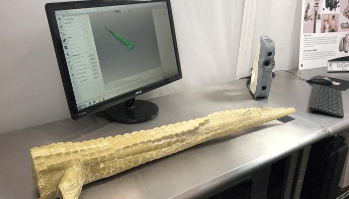 3d scaned and printed crocodile tail howto3Dprint.net Discover The World of 3D Print